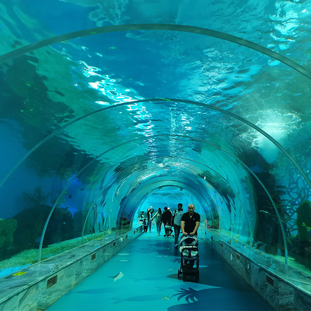 من لديه أطول حوض أسماك تحت الماء في الولايات المتحدة - مصنع منتجات صفائح الأكريليك Leyu