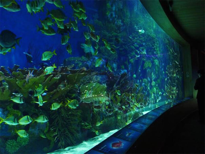 شنيانغ-عالم تحت الماء3