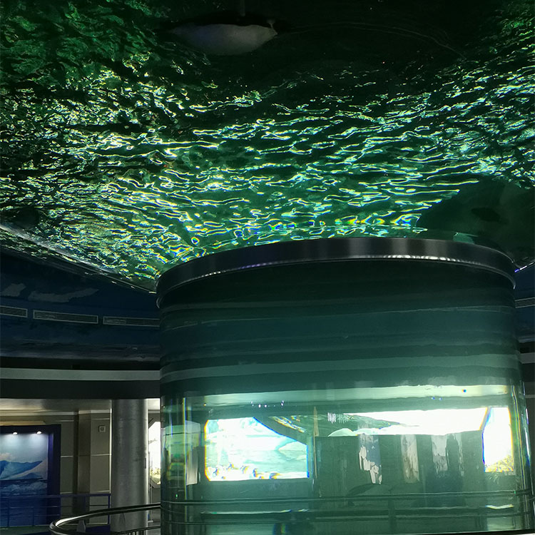 متحف Mount Desert Oceanarium اكتشف عالم المحيطات عالم المحيطات Leyu Professional Customization - Leyu