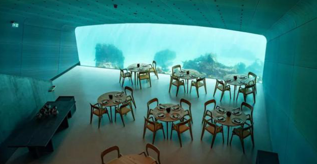 مطعم يتميز بمياه الأكريليك الكلاسيكية في جزر المالديف - تحت المطعم