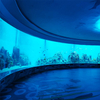 يأخذك مصنع Le Yu Acrylic Factory لاستكشاف حوض السمك Sea World - Leyu