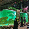 يأخذك مصنع Le Yu Acrylic Factory لاستكشاف حوض السمك Sea World - Leyu