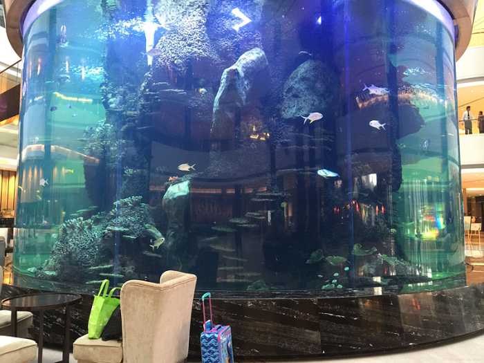 ما هو أفضل منظف لخزانات أحواض السمك الأكريليكية Ocean Park Cusotm Fish Tank- Leyu 