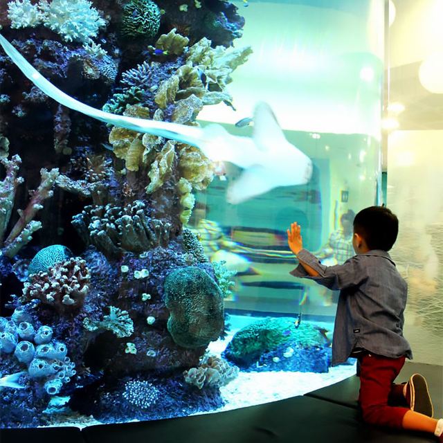 يحتوي متجر Aquarium Cafe على نوافذ أكريليك وأنفاق أحواض أسماك أكريليك وخزانات أسماك أكريليك - Leyu