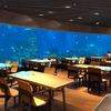 يحتوي متجر Aquarium Cafe على نوافذ أكريليك وأنفاق أحواض أسماك أكريليك وخزانات أسماك أكريليك - Leyu