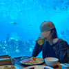 يحتوي متجر Aquarium Cafe على نوافذ أكريليك وأنفاق أحواض أسماك أكريليك وخزانات أسماك أكريليك - Leyu